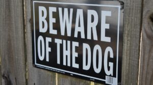 Spoon Law, Montana Dog bite